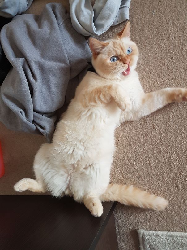 Can You Press My Rest Button...