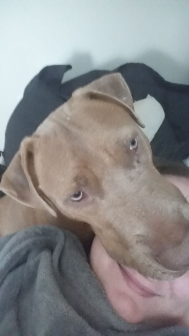 I'm Sorry...is That Your Face?