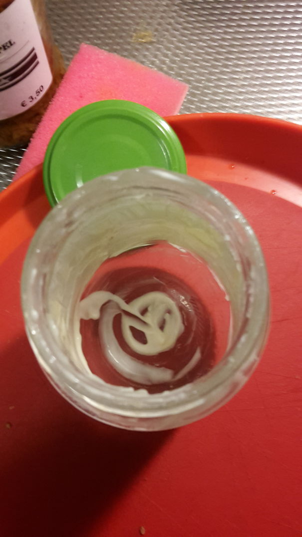 Oh No...The Mayo Is Finished!