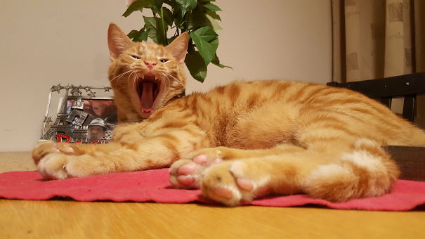 And You Gonna Hear Me Roar