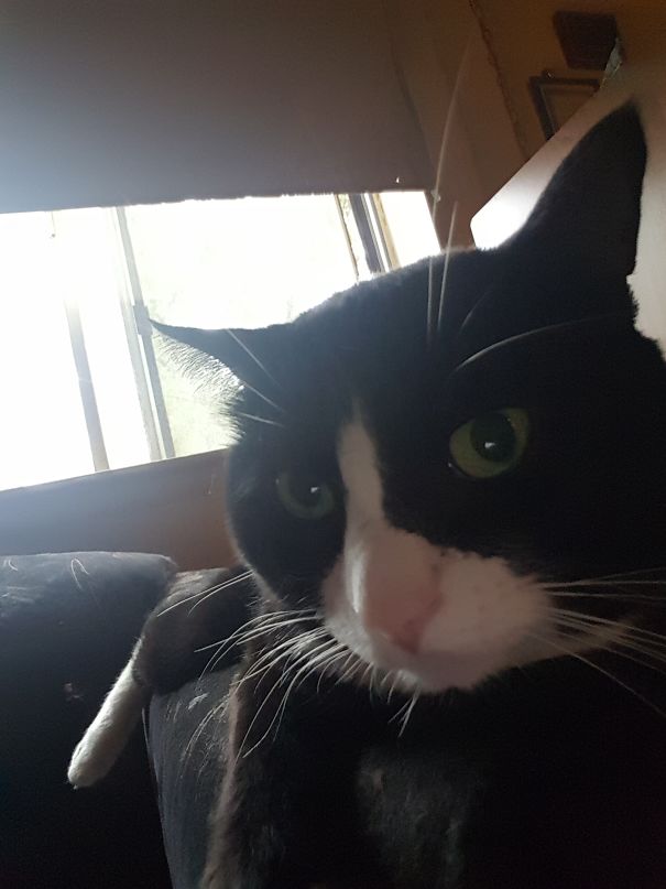 When You First Open Your Camera.