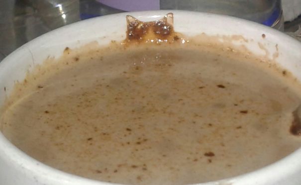 There's A Cat In My Coffee 😻