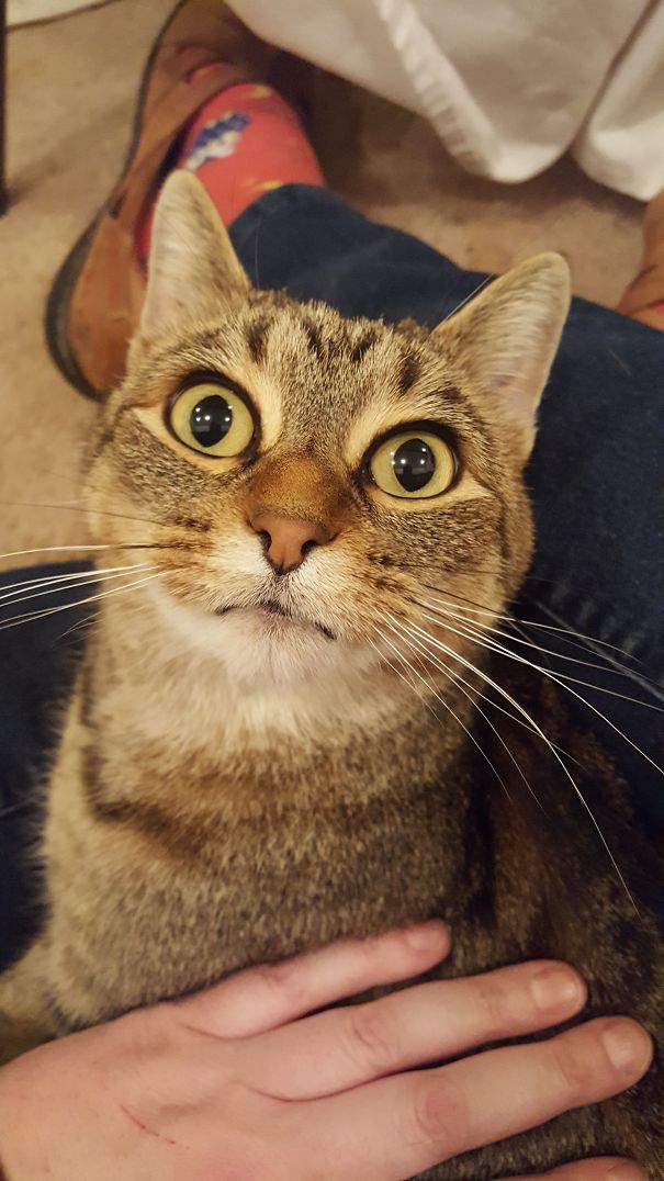 She Caught Me Taking A Photo Of Her Napping...