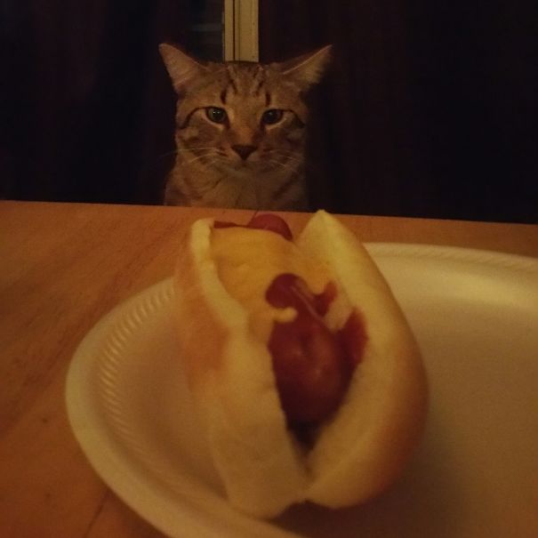 Why I No Get Hot Dogs!?