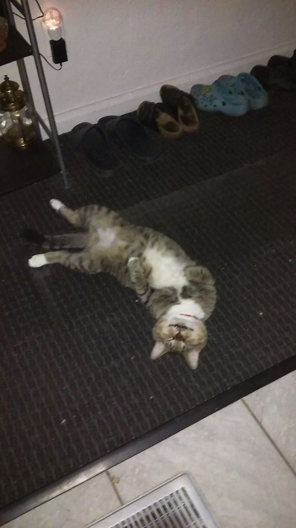 Chilling After Dinner