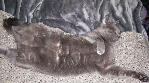 Sometimes He Just Wants To Blend In