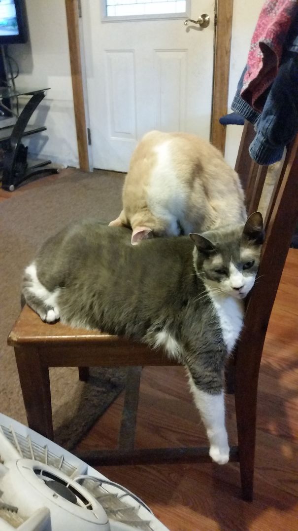 Drama King Hides His Face From The Flashy Camera.