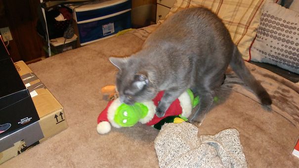 Sometimes He Get Too Friendly With The Grinch