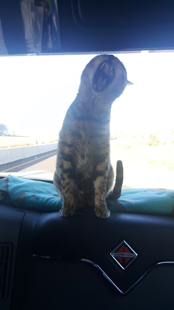 I Just Want To Sing!!!!!!!