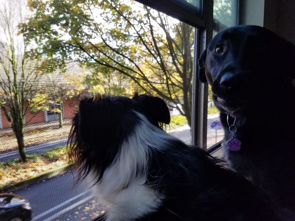 Hey Mom, What Cha Doin'?