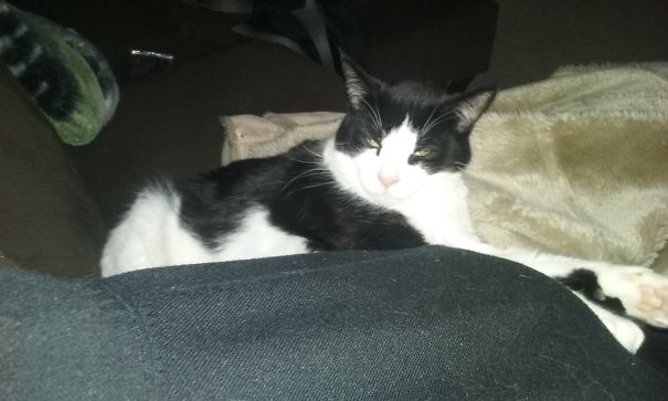 Your Waking Me Why???