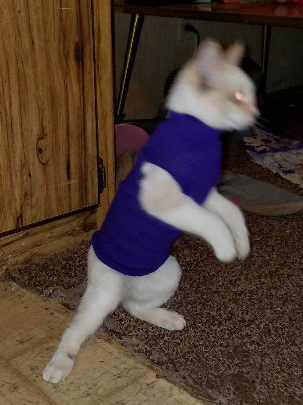 I Can't Stand This Outfit, I'm Outta Here