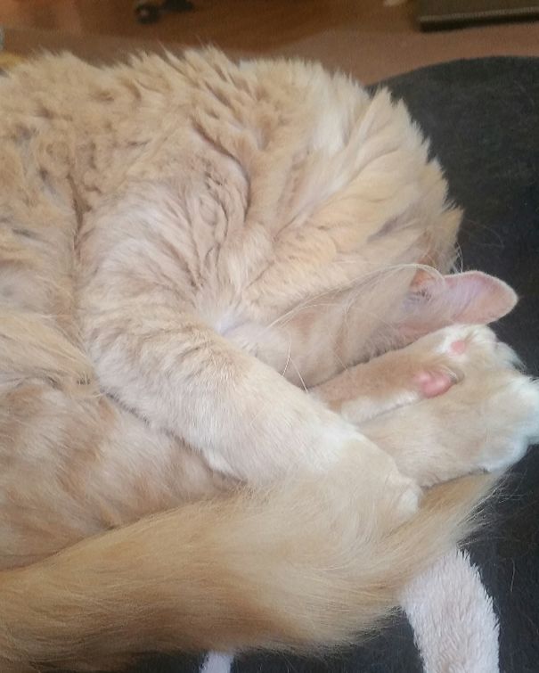 When You Realize The Weekend Is Almost Over