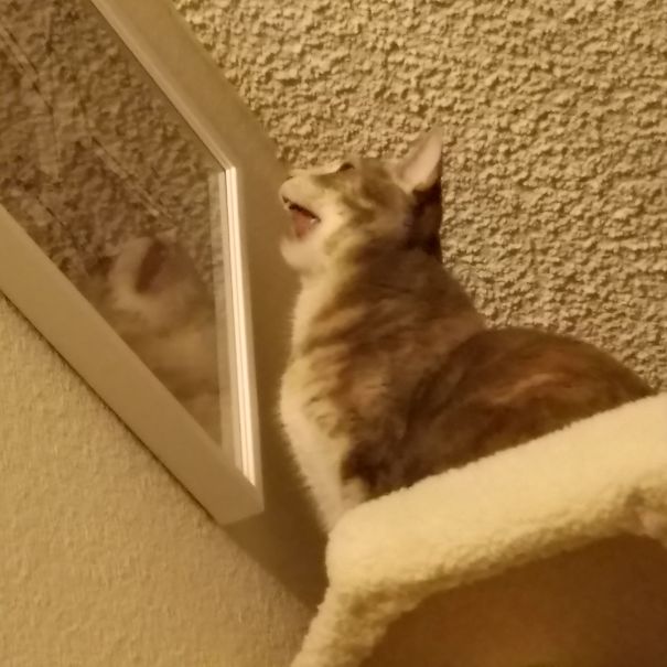 Her Reflection Was Too Much For Her