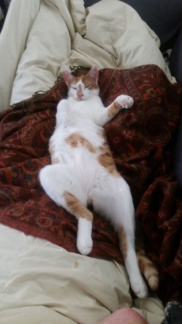 It Was A Really Hot Day....