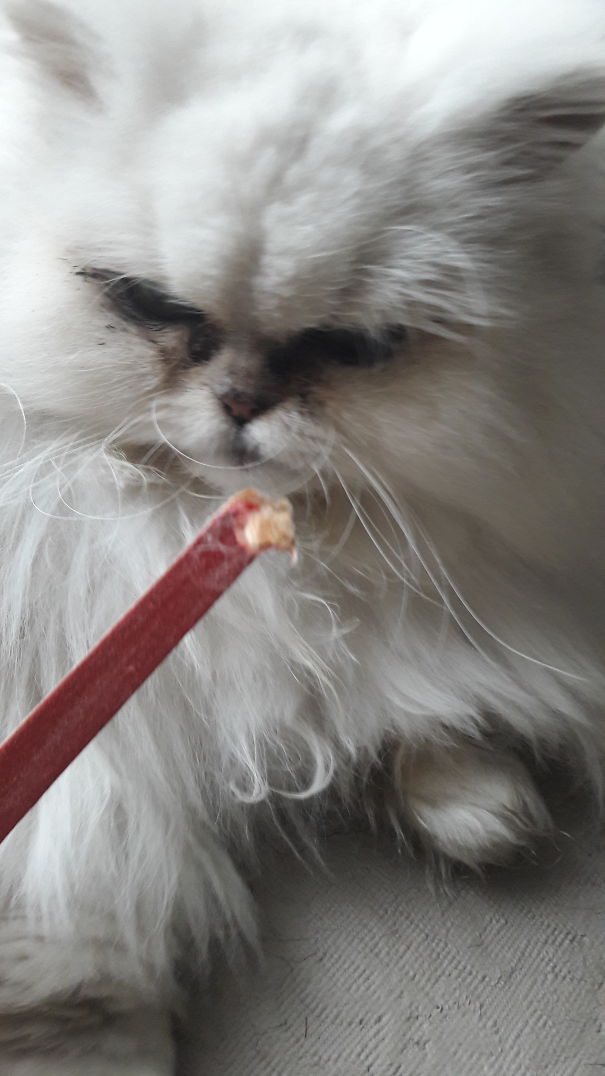 Now I Know Why My Nail Files Desapered