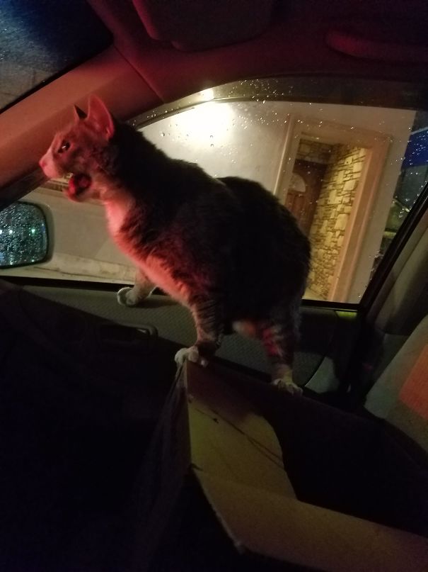 Moving To Our New House