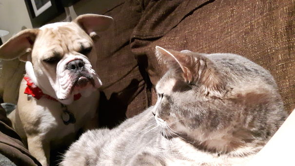 "what Are You Looking At, Butthead?"