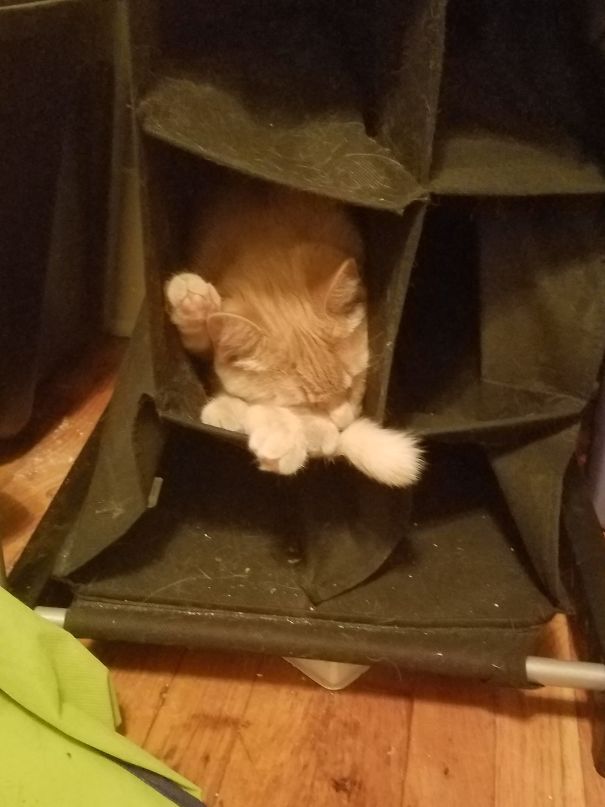 Some Assembly Required...