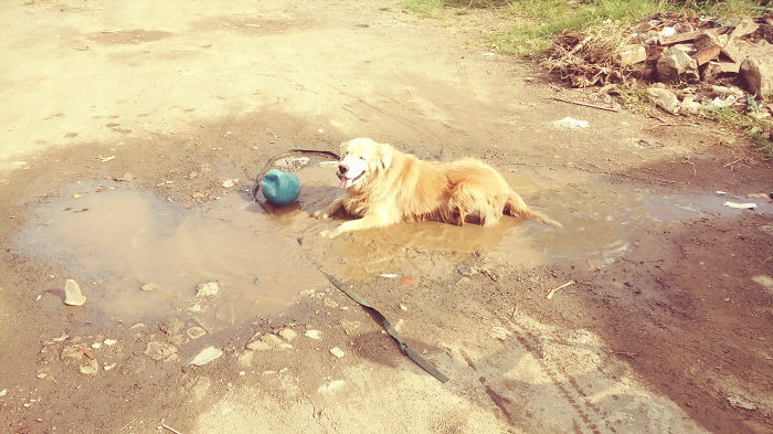 Left Him For 2 Minutes To Take My Car Key