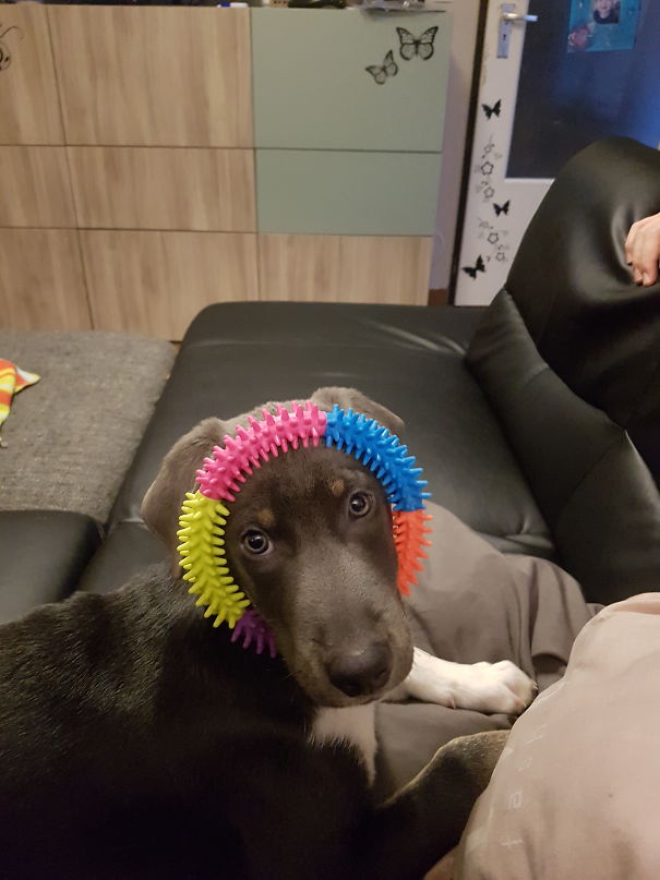 Isnt That What Its For?