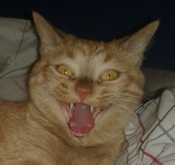 Insert Sinister Laugh