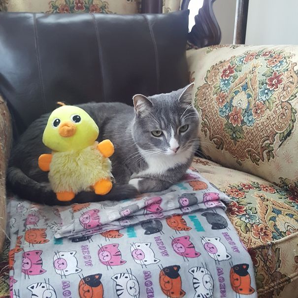 With His Chickadee