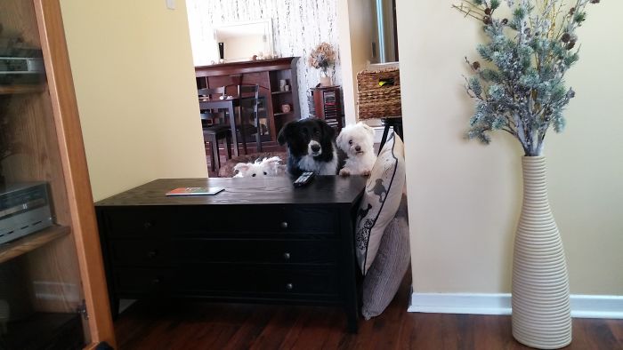 But We Want Cake Too! (there's A 4th Sleeping)