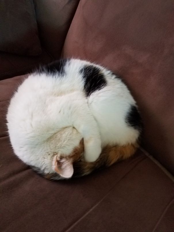 Life Is So Hard For Her Apparently