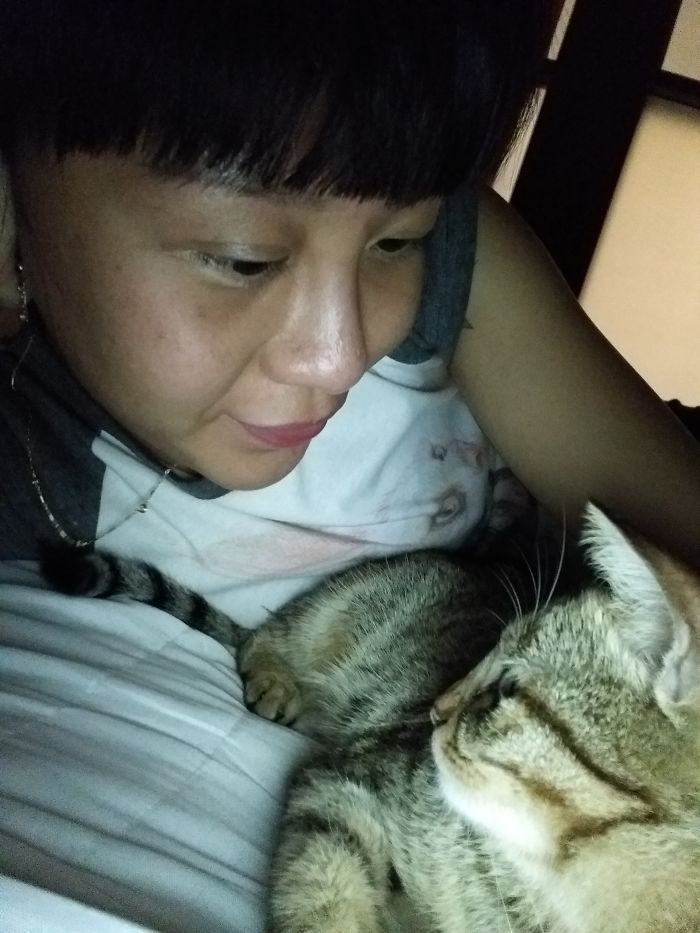 Dead On Sunday Finding Love From Cat And No Human Pls