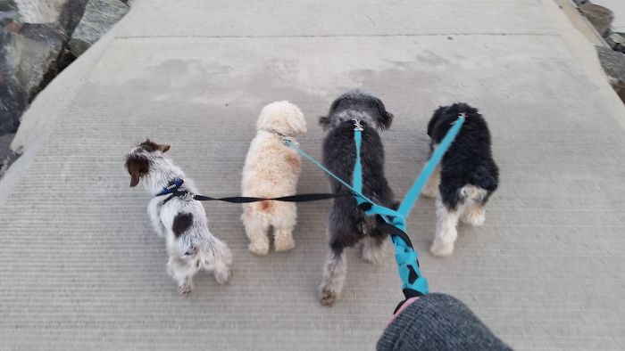 A Walk On The Beach Wall