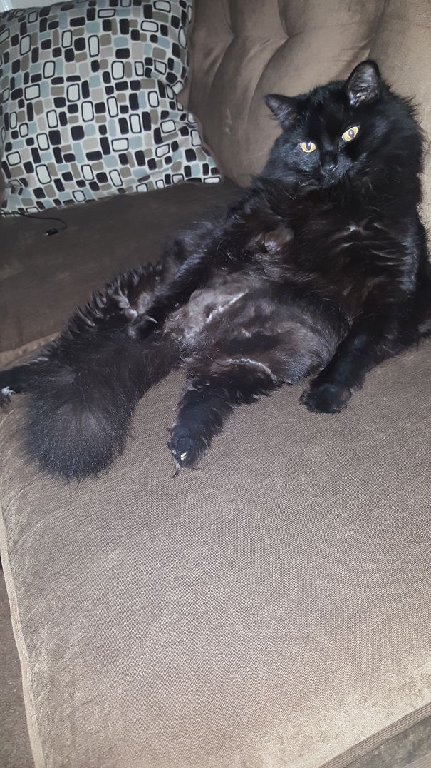 This Is The Look I Get Every Time I Change The Channel.