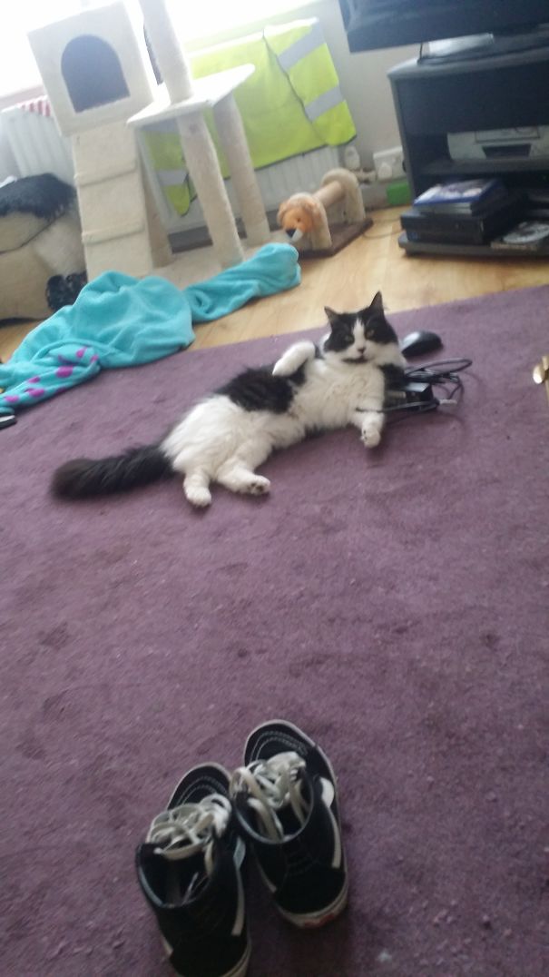 The Look I Get When I Call Her Name Whilst She Is Cleaning