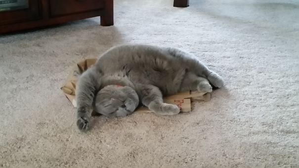 Today Was Too Much... I Give Up.