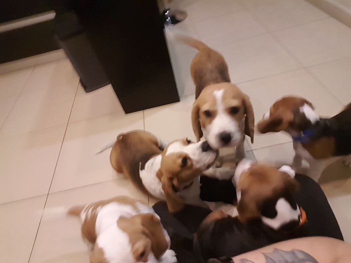 I Never Feel Cold Or Loneliness