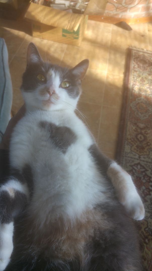 Why Did You Wake Me?