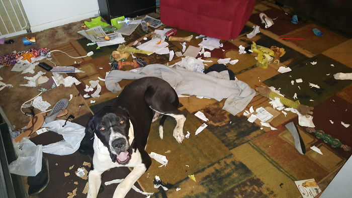 I Was Looking For You Everywhere!! But I Couldn't Find You!!