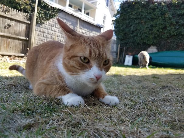 Ted Is Mad That Jango's Butt Photobombed