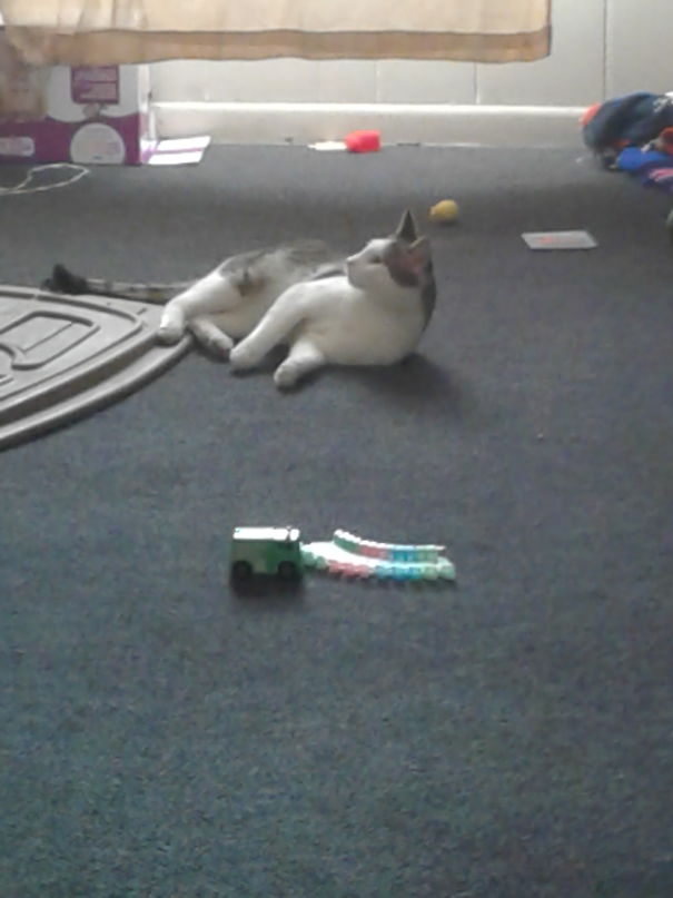 Trying To Figure Out If The Kids Are About To Come Down The Steps Or Not