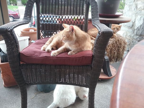 I Was Sitting There A^%hole!