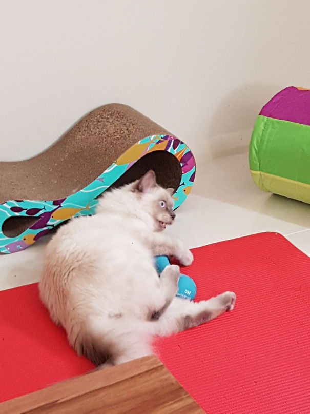 Loves Exercise As Much As Me