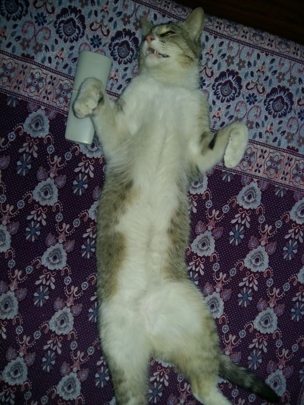 He Is Out Off This World.... No Worries No Tension Just Felling Relax