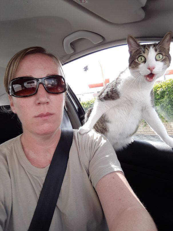 Marco Realized We're Going To The Vet