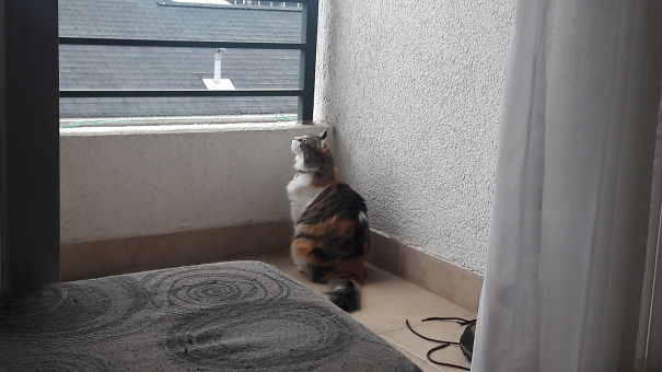 Feeling The Sweet Autumn Air