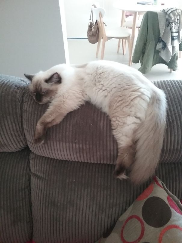 Don't Judge Me, It Was One Hell Off A Weekend!!!