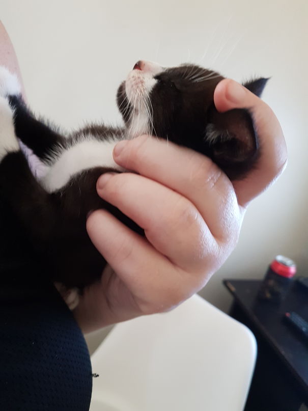 Lucky's Favourite Sleeping Place