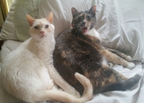 You Caught Us Getting Along