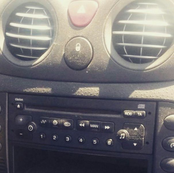 There's A Fly In My Car