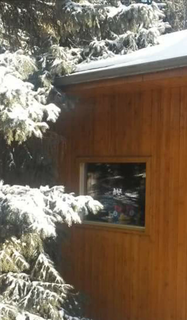 Demented Chicken Or Box Of Oranges In Window?