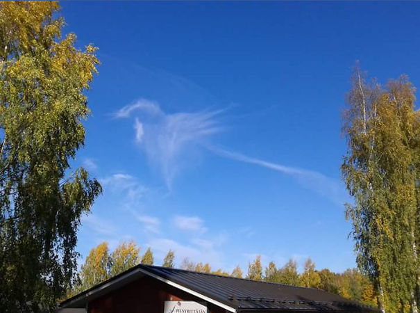This Cloud Looks Like A Bird